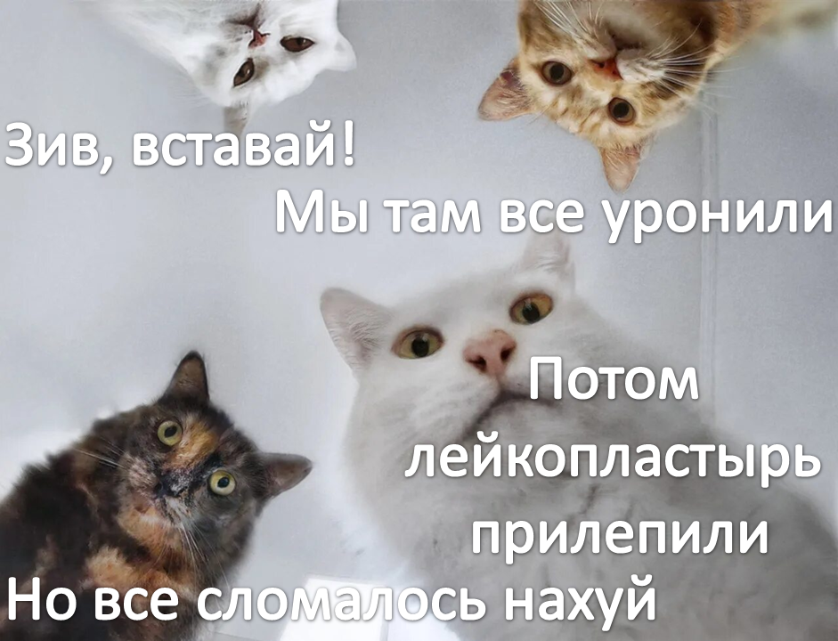{TEXT?}