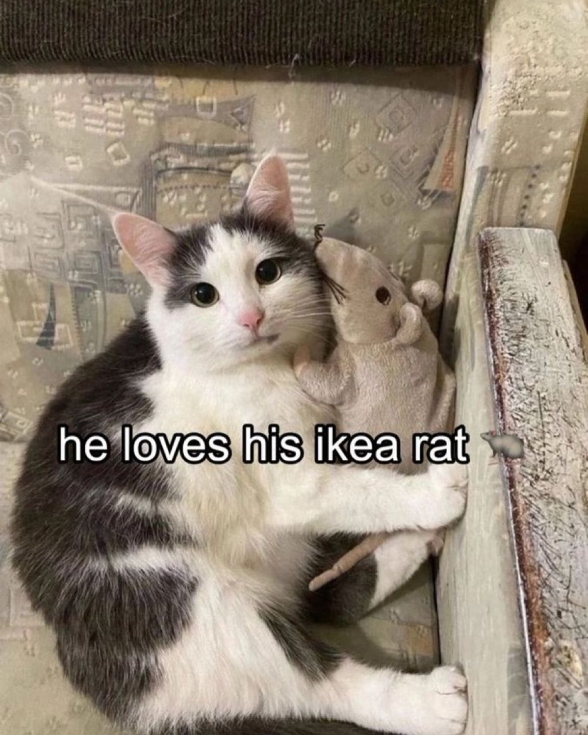 {TEXT?}