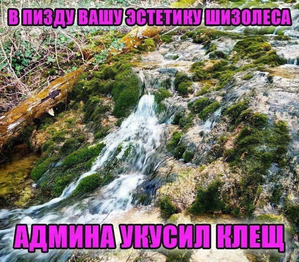 {TEXT?}