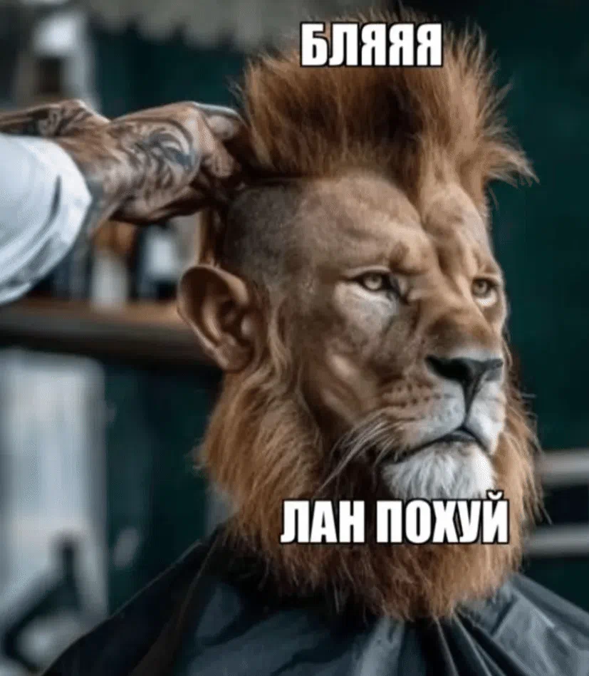 {TEXT?}