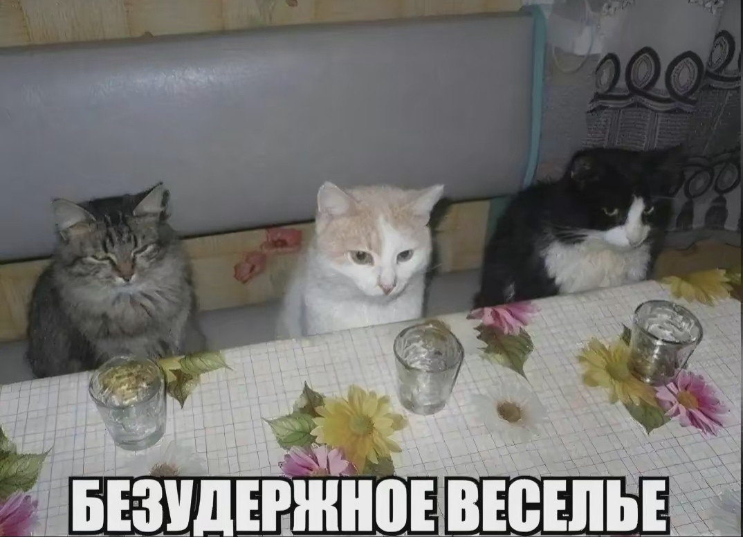 {TEXT?}