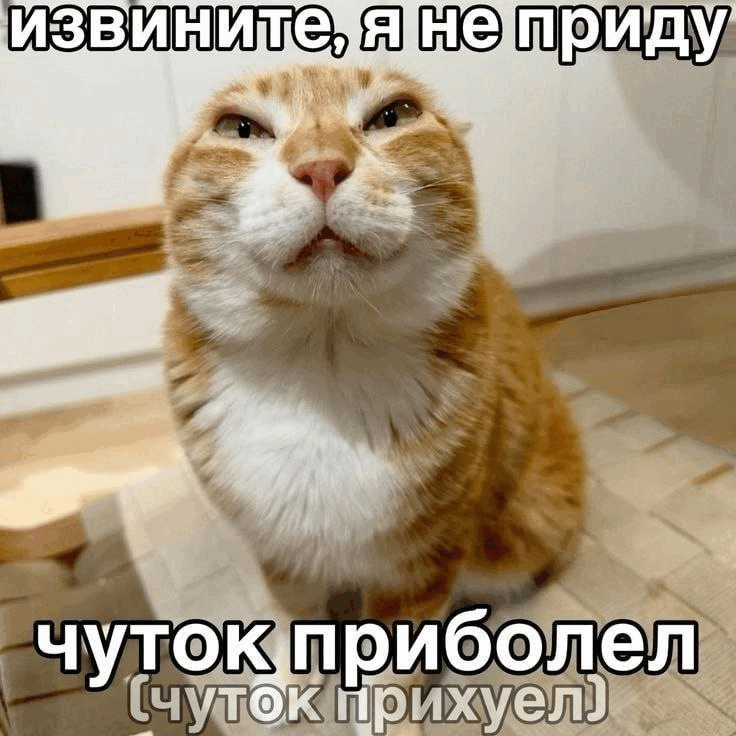 {TEXT?}