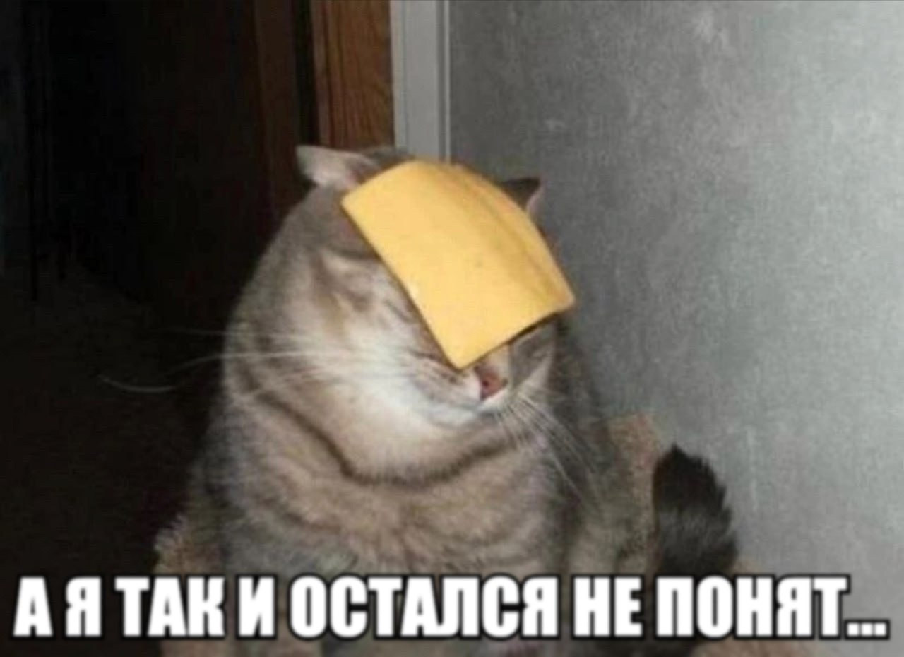 {TEXT?}