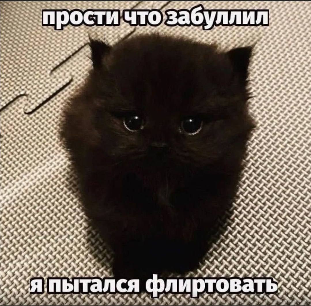 {TEXT?}
