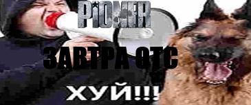 {TEXT?}
