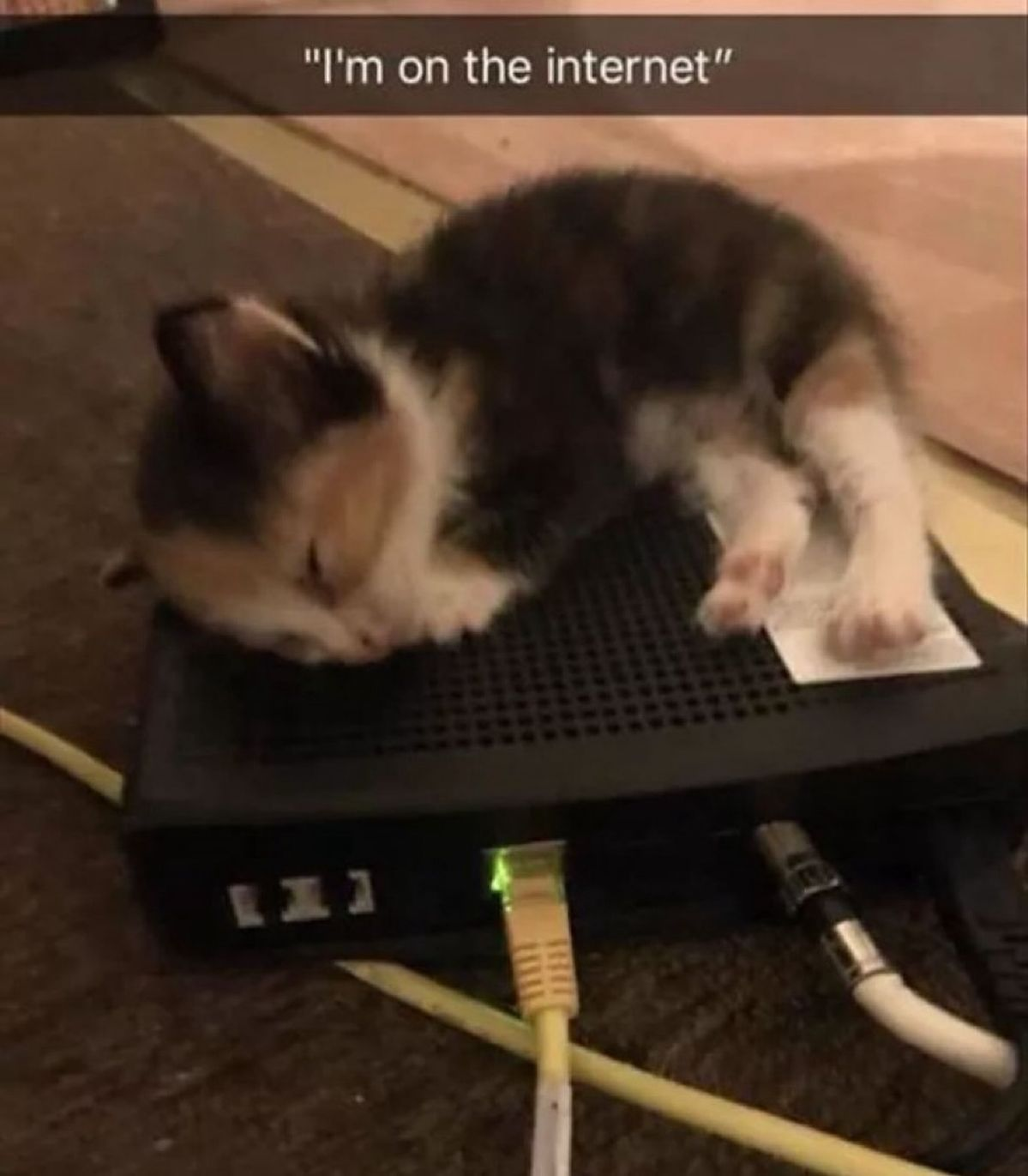 {TEXT?}