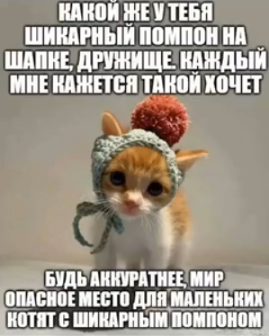 {TEXT?}