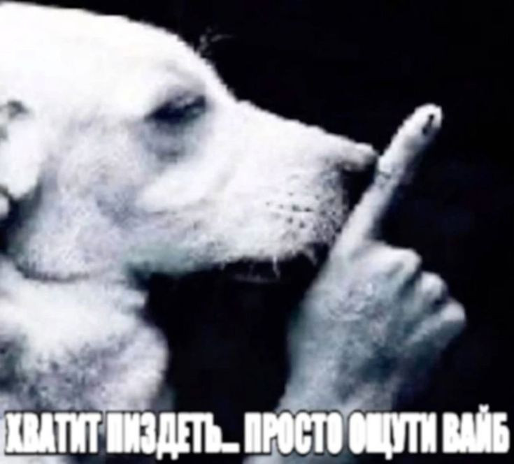 {TEXT?}