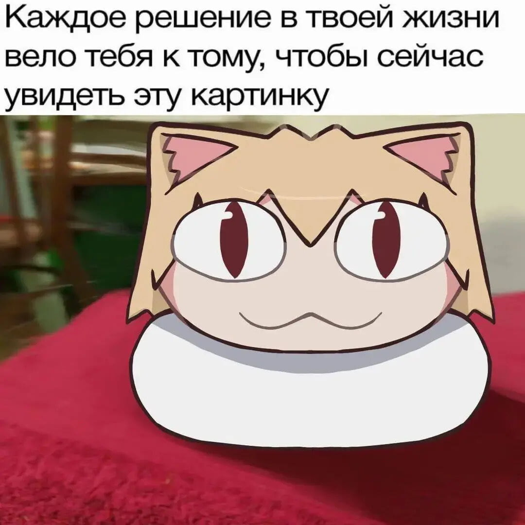 {TEXT?}