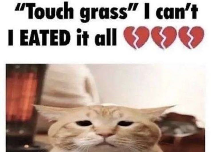 {TEXT?}