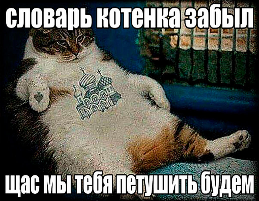 {TEXT?}