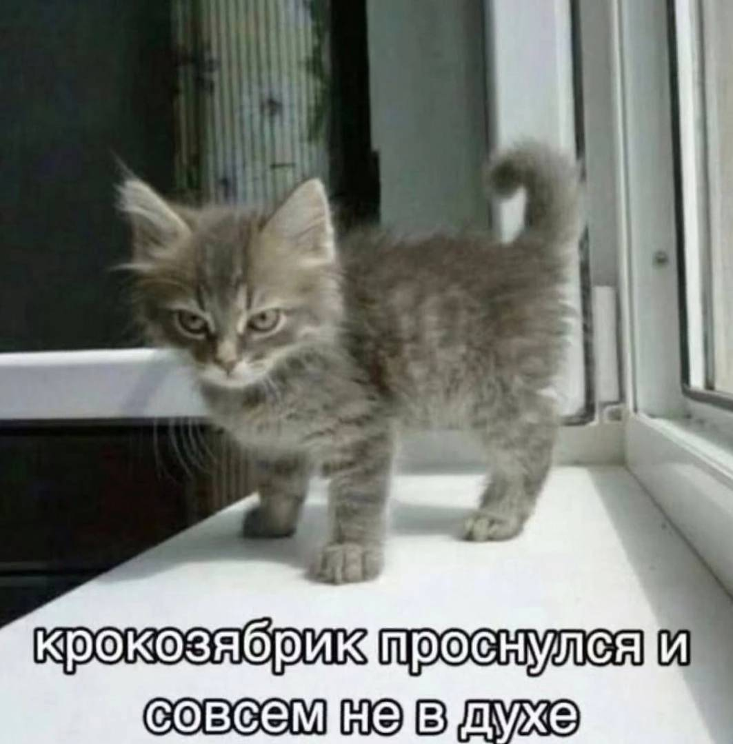 {TEXT?}