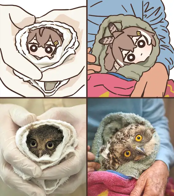 {TEXT?}