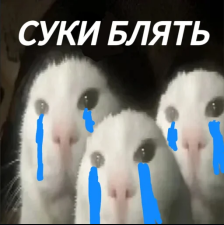 {TEXT?}
