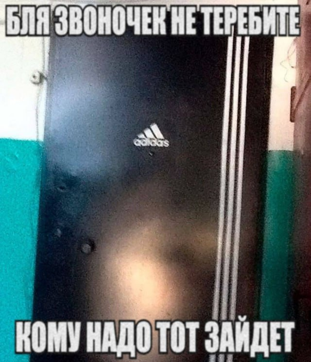 {TEXT?}