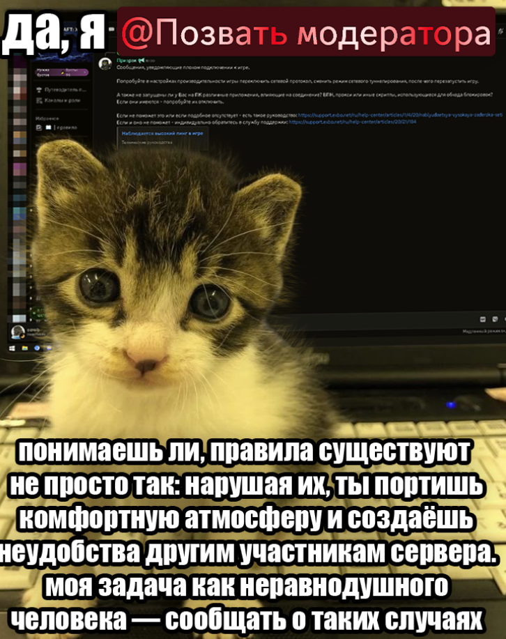 {TEXT?}
