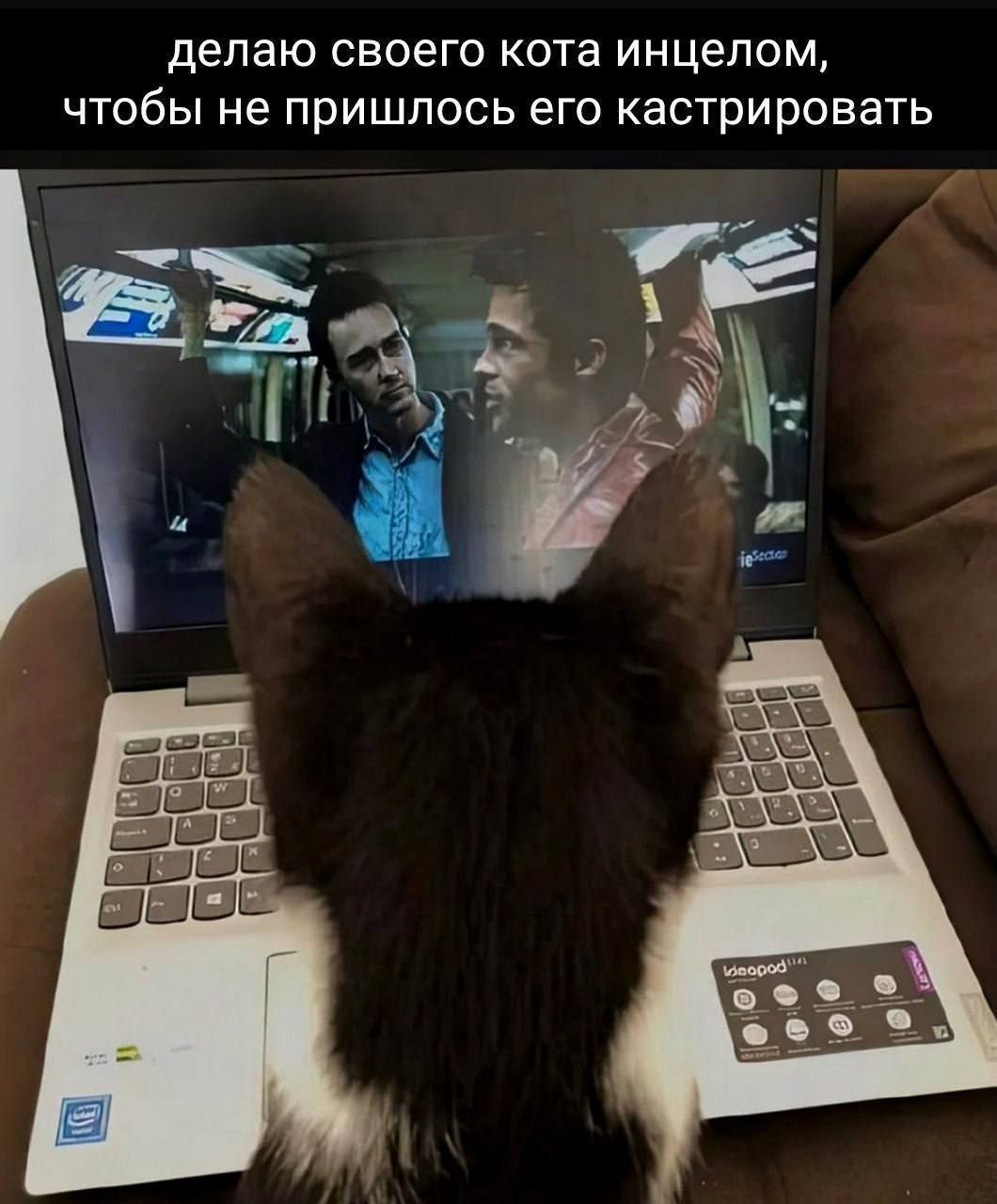 {TEXT?}