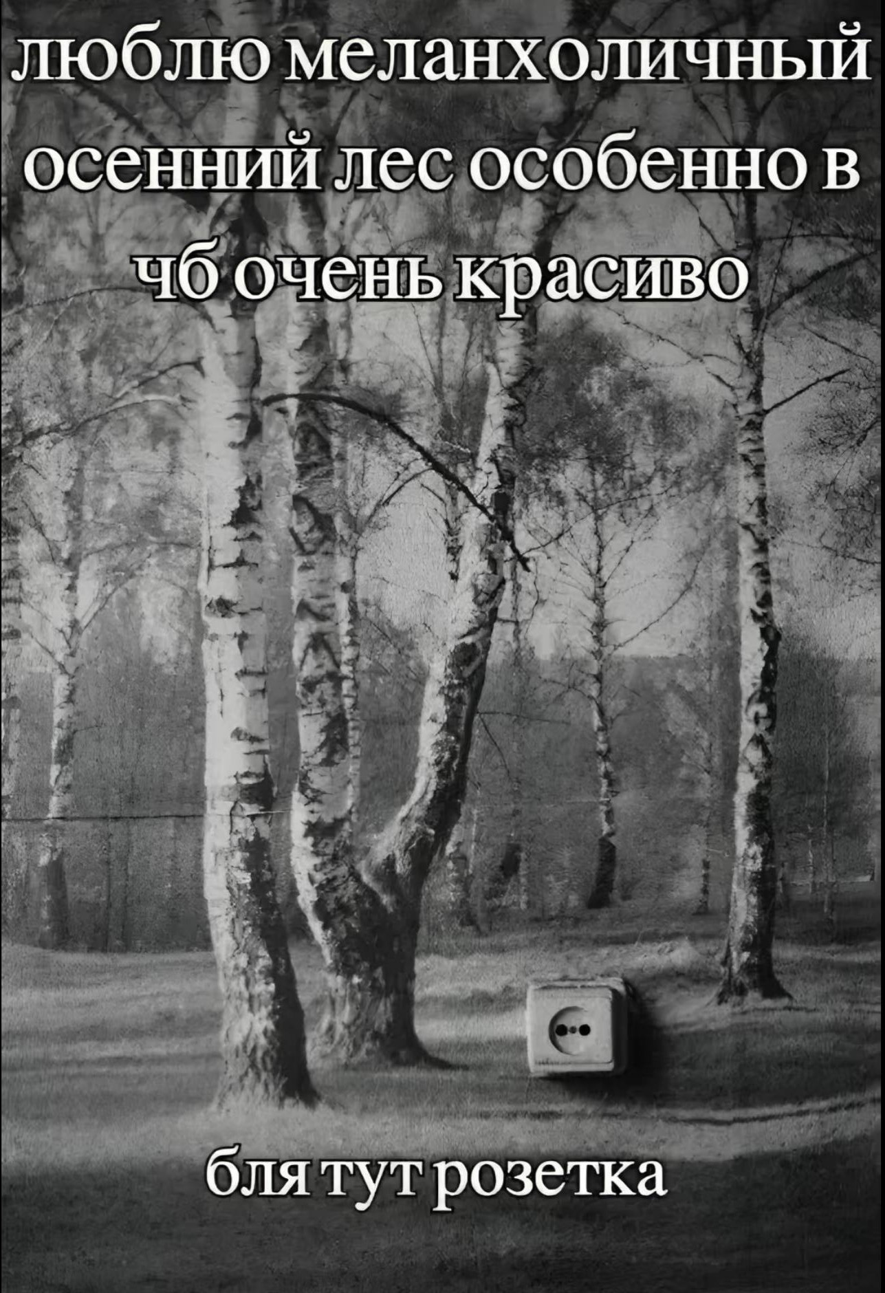 {TEXT?}