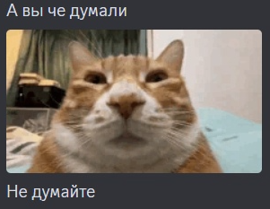 {TEXT?}
