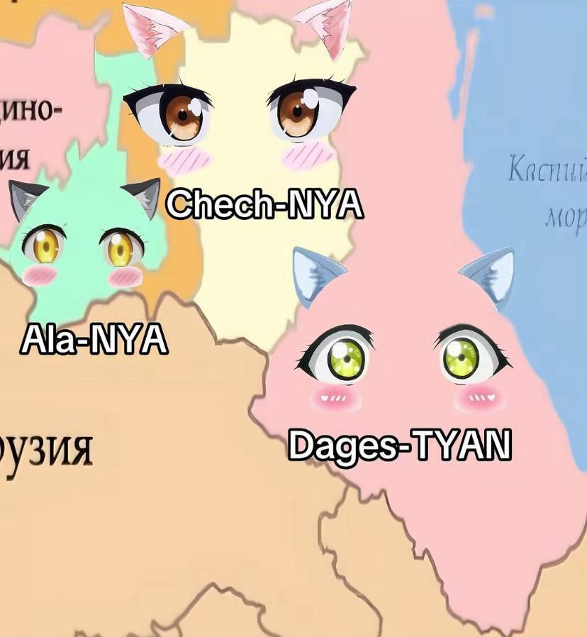 {TEXT?}