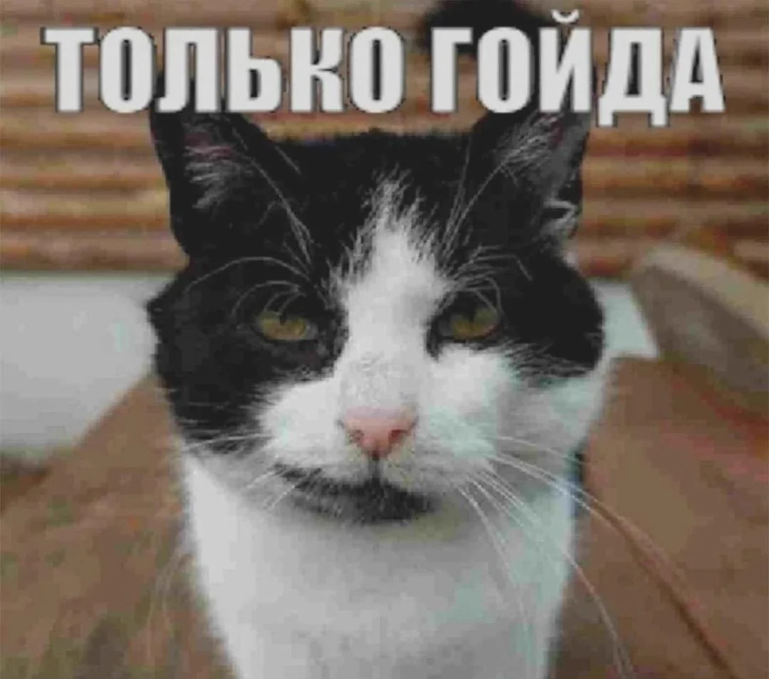 {TEXT?}
