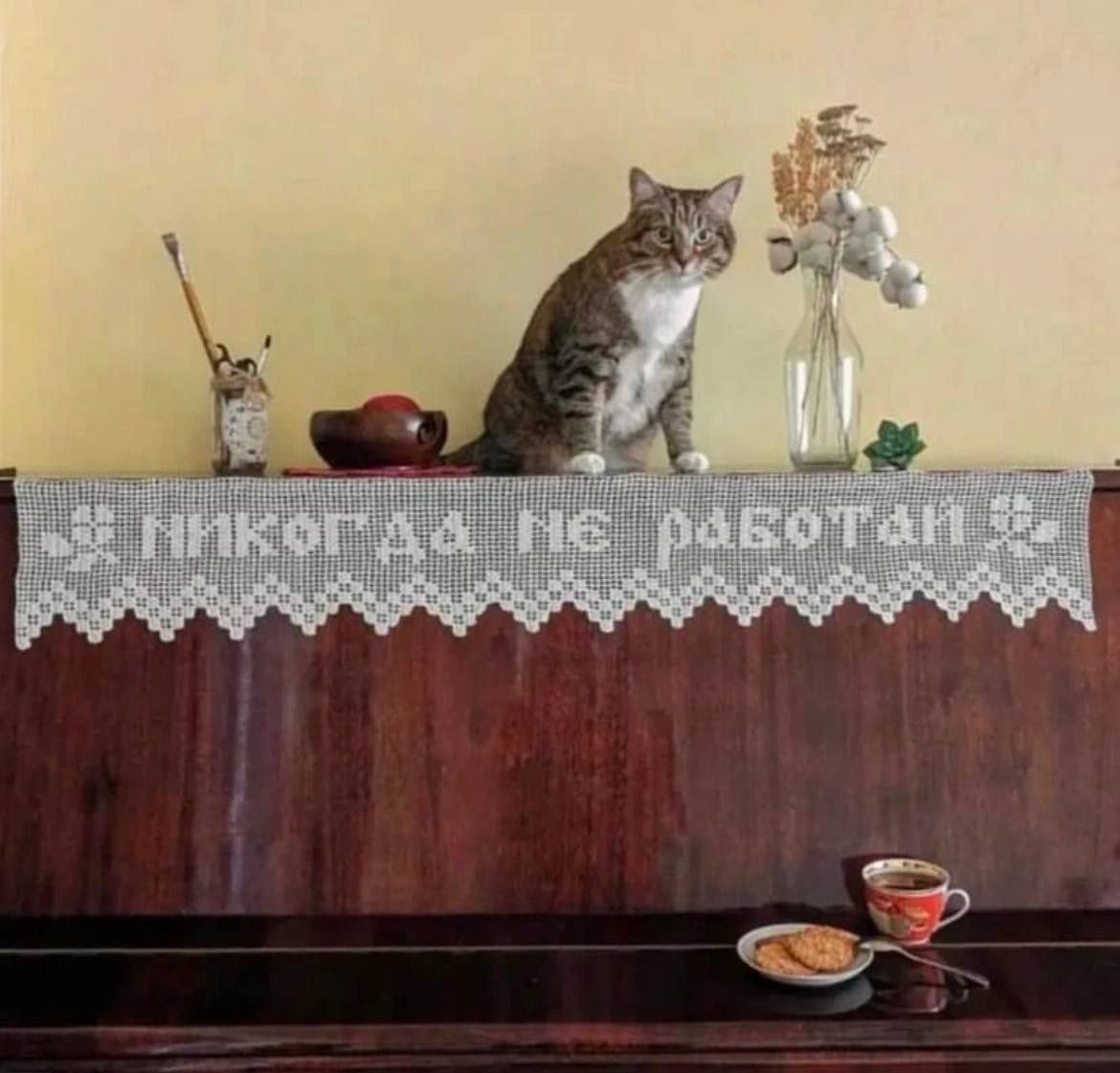 {TEXT?}