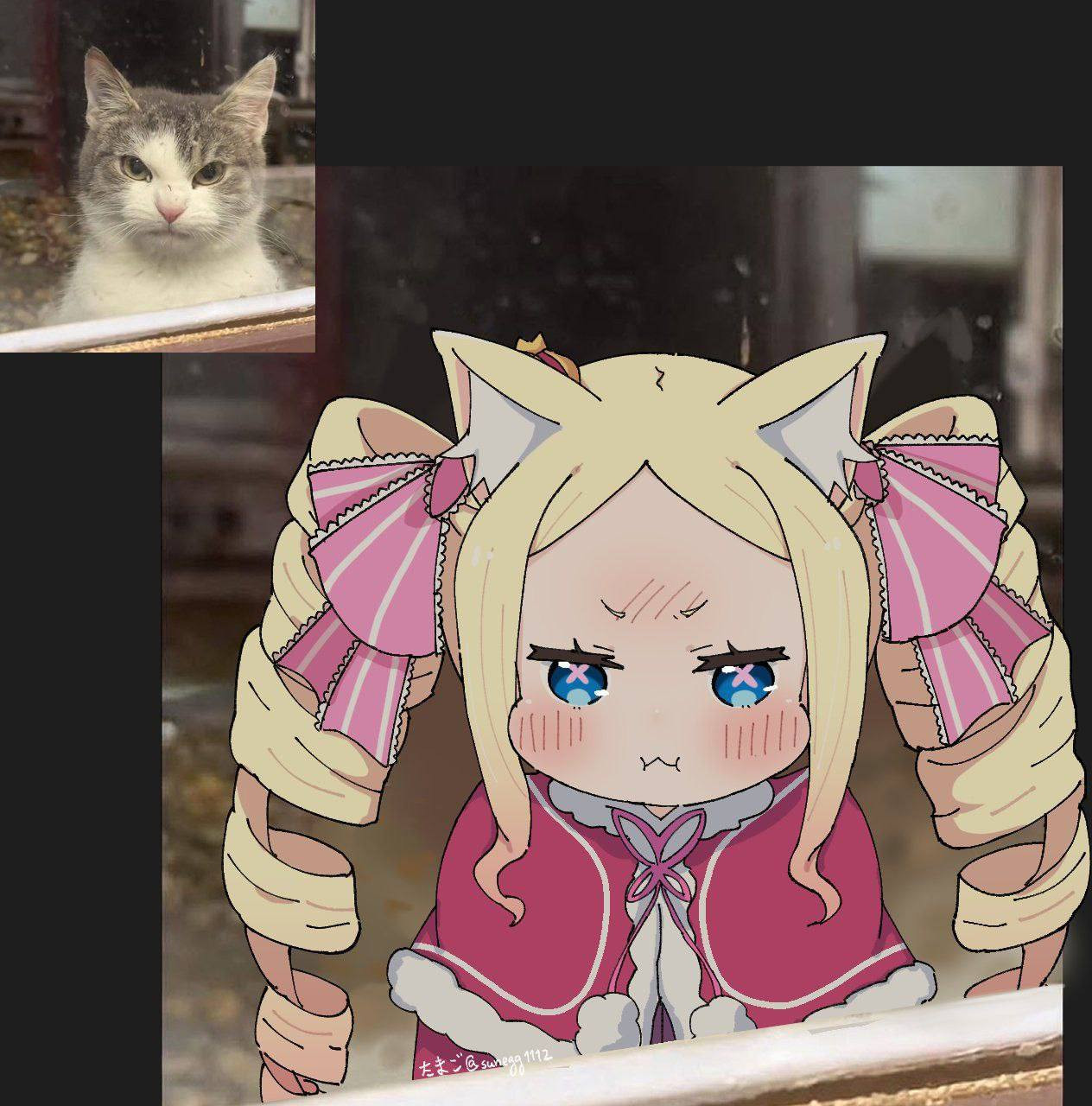 {TEXT?}
