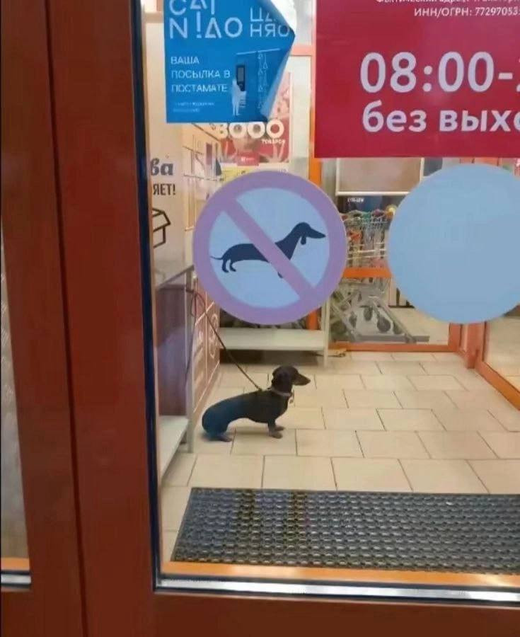 {TEXT?}