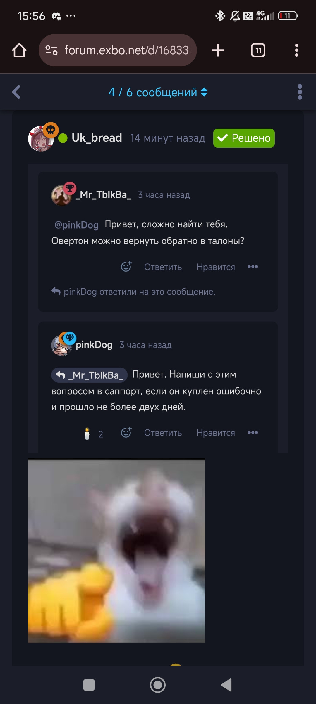 {TEXT?}