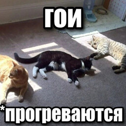 {TEXT?}