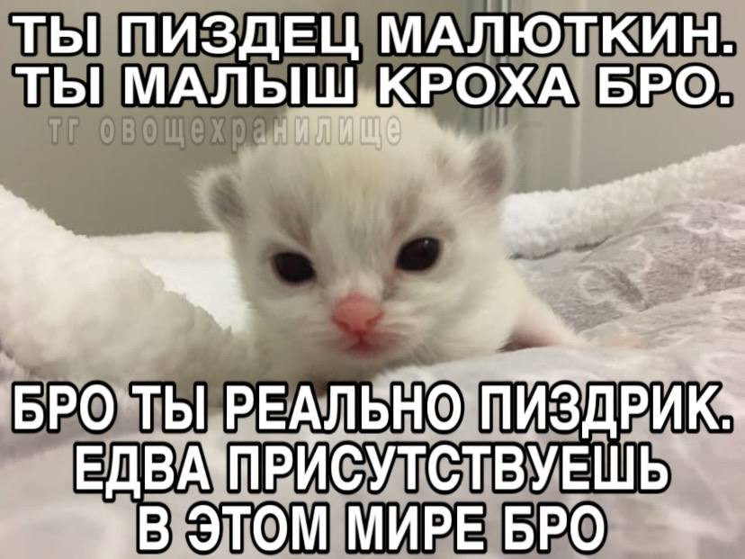 {TEXT?}