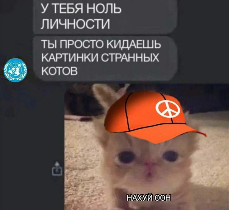 {TEXT?}
