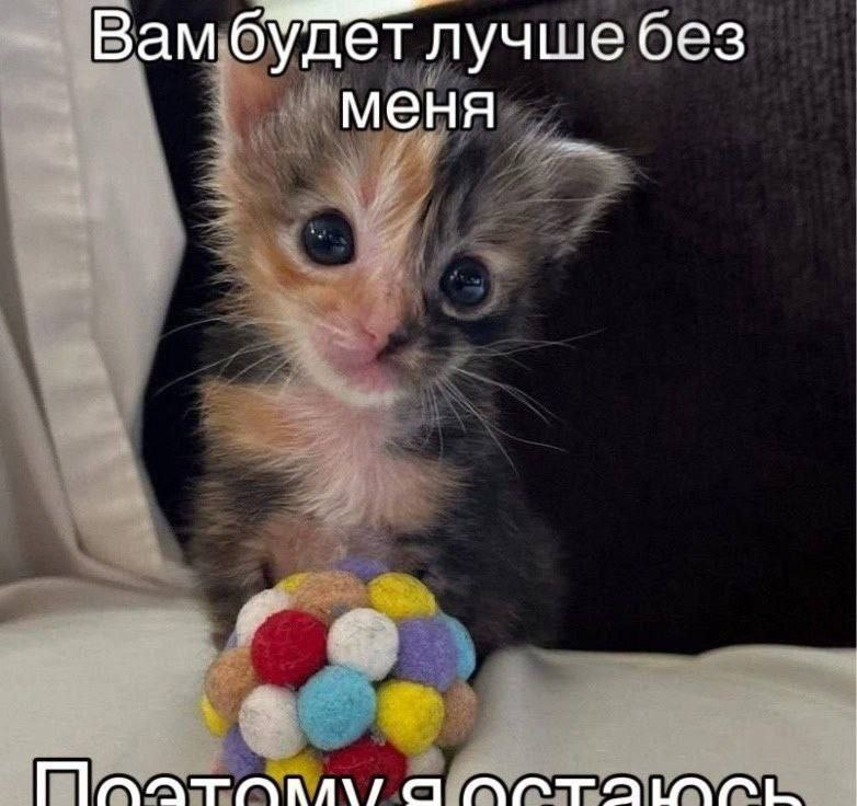 {TEXT?}