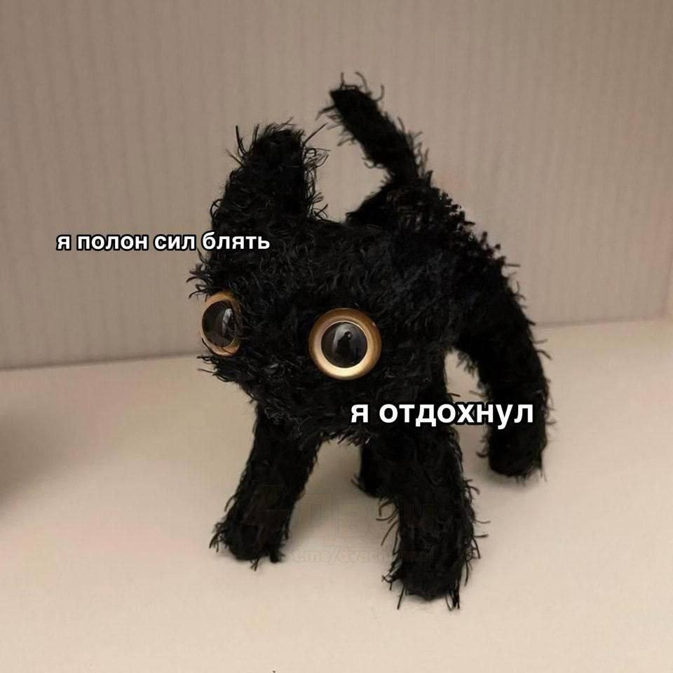 {TEXT?}