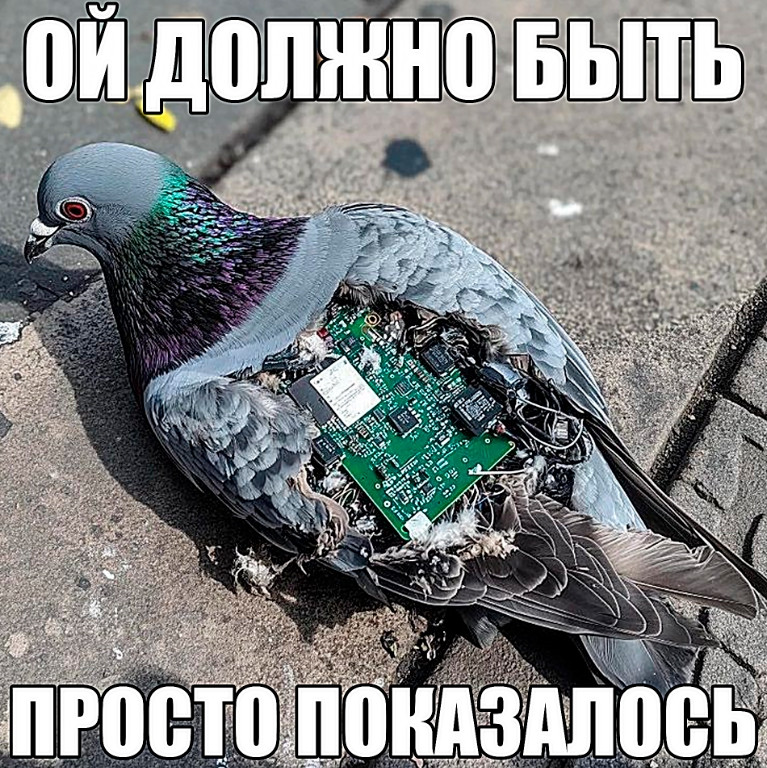 {TEXT?}