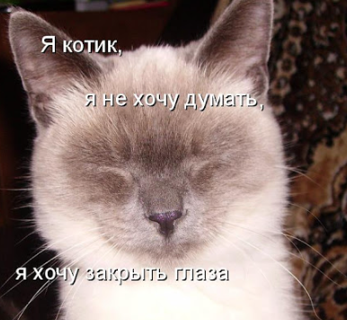 {TEXT?}