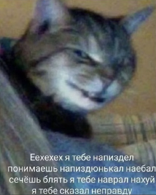 {TEXT?}
